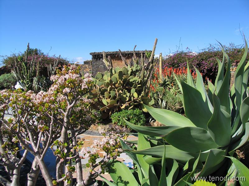 LaPalma (035).JPG